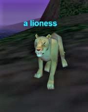 a lioness