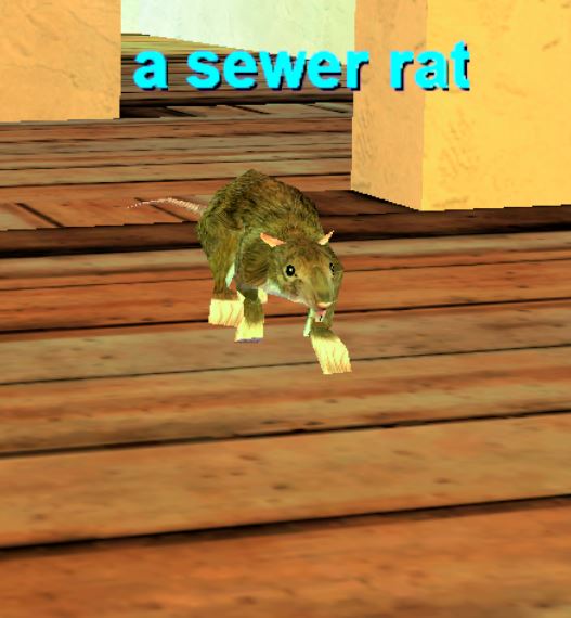 A Sewer Rat