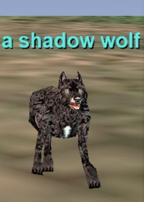 A Shadow Wolf.jpeg