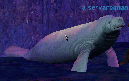 a servant manatee