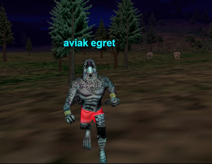 aviak egret
