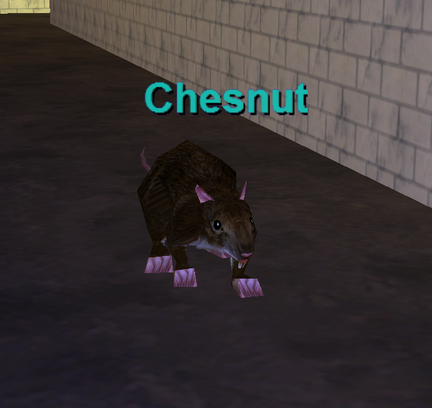 Chesnut