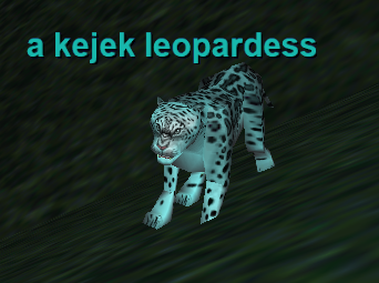 a kejek leopardess