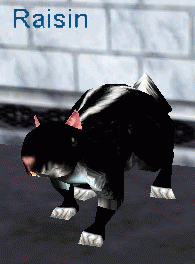 Raisin