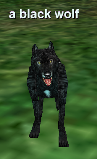 a black wolf