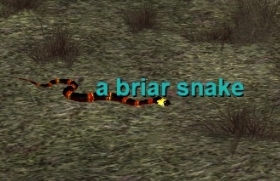 a briar snake