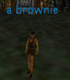 a brownie