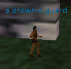 a brownie guard