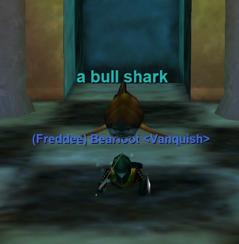 a bull shark