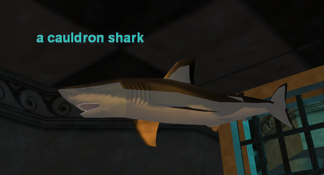 a cauldron shark