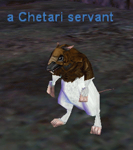 a Chetari servant