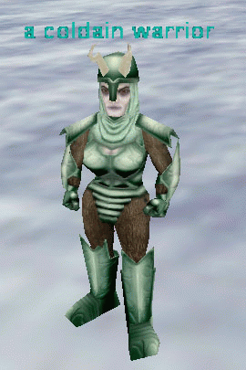 a coldain warrior