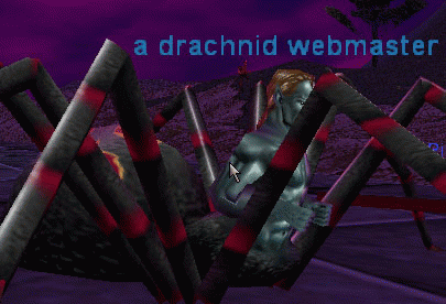a drachnid webmaster