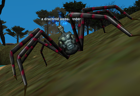 a drachnid webstrander