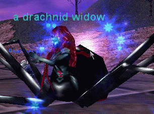 a drachnid widow