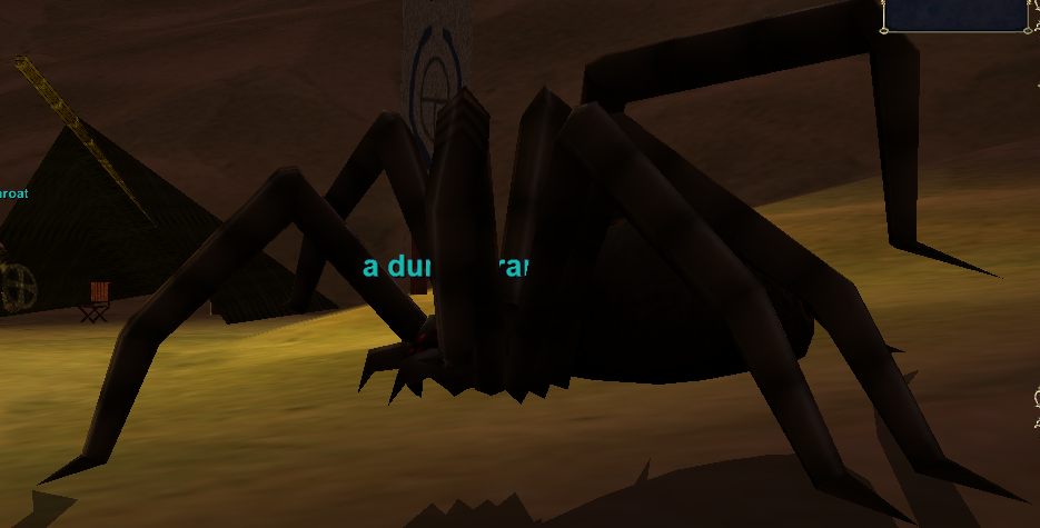 a dune tarantula