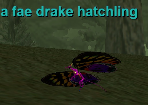 a fae drake hatchling