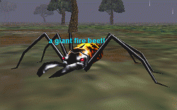 a giant fire beetle