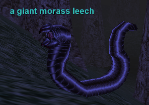 a giant morass leech