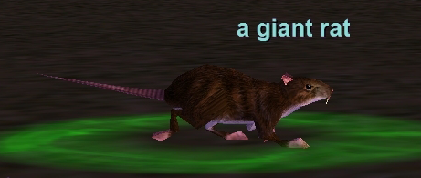Npc a giant rat.png
