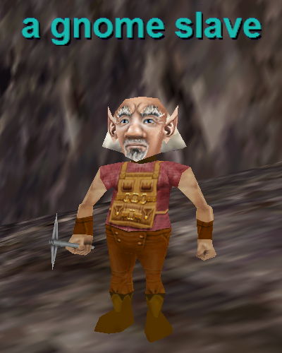 a gnome slave