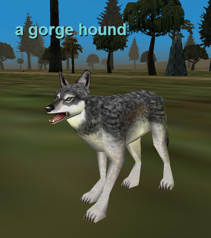 a gorge hound
