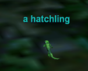 a hatchling