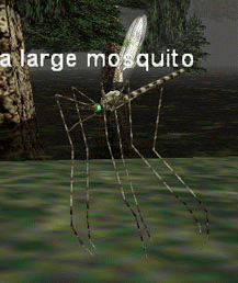a large mosquito