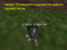 a large plague rat