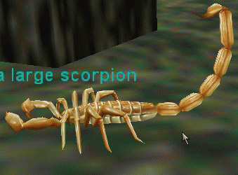 a large scorpion