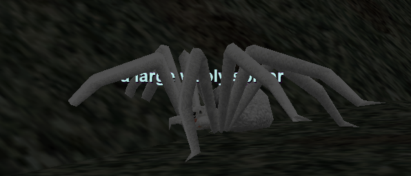 a large wooly spider