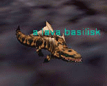 a lava basilisk