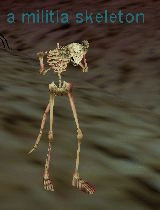 a militia skeleton