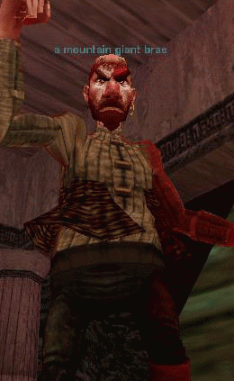 a mountain giant brae