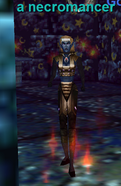 a necromancer