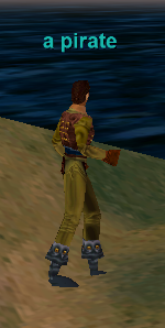 a pirate