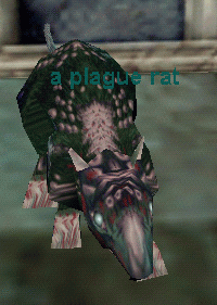 a large plague rat