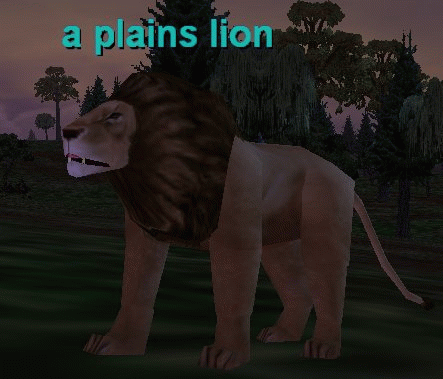 a plains lion