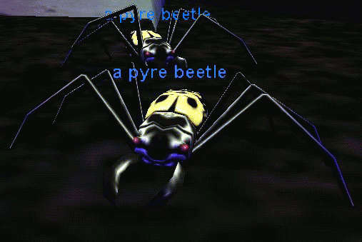 A pyre beetle