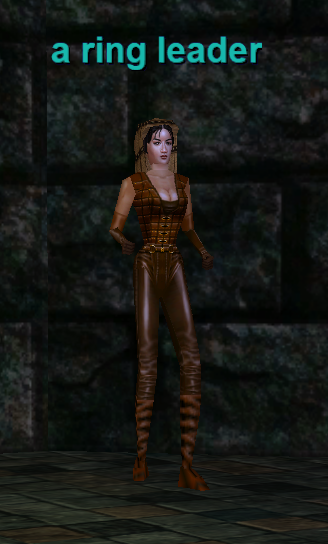 a ring leader