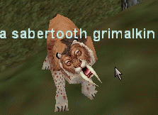 a sabertooth grimalkin