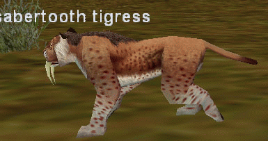 a sabertooth tigress