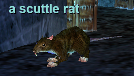 a scuttle rat