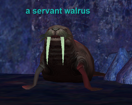 a servant walrus