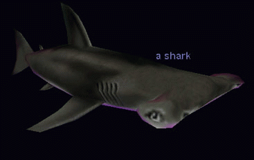 Npc a shark.png