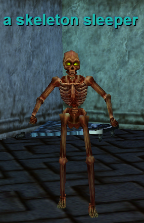A skeleton sleeper