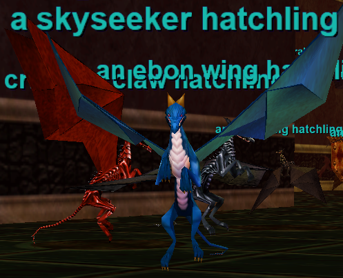 a skyseeker hatchling