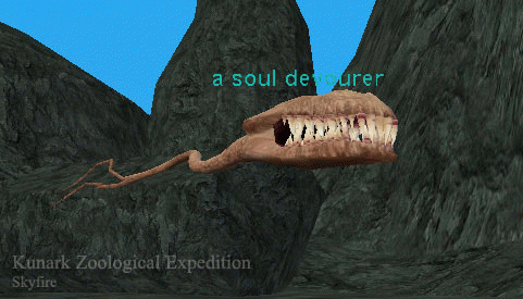 a soul devourer