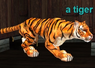 a tiger