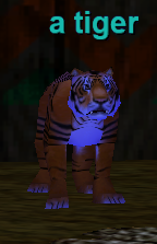 a tiger